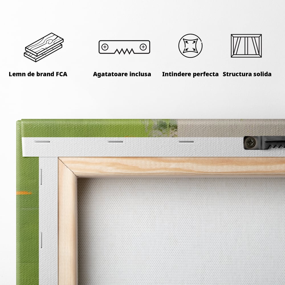 Spatele produsului, cu sasiu din lemn, capse metalice si agatatoare